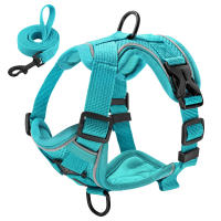 Set De Correa Y Arnés Reflectante Para Perros Y Gatos De Malla Y Nylon Para Pequeños Y Medianos Perros Bulldog Pug - details 3