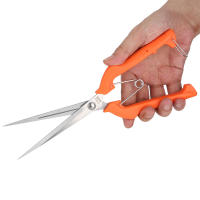 Tijeras De Jardín 250mm Para Podar Plantas Y Flores Herramienta De Corta Ramas Prunería De Jardinería Y Floristería - details 4