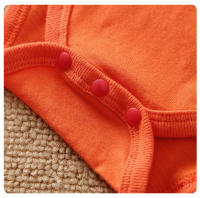 Conjunto De Ropa Bebé Niño Otoño Primavera Con Estampado De León Naranja De Algodón De Manga Larga Y Pantalones 0-18 Meses - details 4