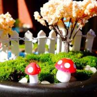 Miniaturas De Setas Para Jardín Faeérico Miniaturas De Resina Para Terrarios Decoraciones Artificiales Y Palos De Artesanía De 100/50/10 Piezas - details 7