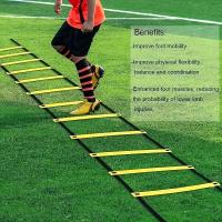 Ladra Agilidad En Fútbol Con Discos De Resistencia Y Sombrilla Obstáculos De Entrenamiento De Velocidad Y Conciencia De Seguridad - details 8