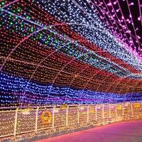 Luces De Garland LED Impermeables Para Decoración De Navidad Y Bodas 10m 30m 50m 100m Luz Faeira Para Interior Y Exterior 220V EU - details 9