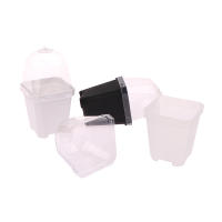 Juego De 5 Macetas Cuadradas Pequeñas Con Domos De Humedad Transparentes Para Plantas En Iniciación Moderno Estilo Plástico - details 8