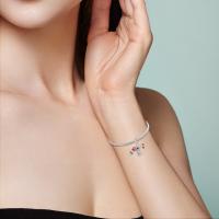 Colgante De Serie Trabajo Y Carrera En Color Plata Para Pulsera Pandora DIY Joyería Para Mujer Zirconia Metálica De Plata - details 37