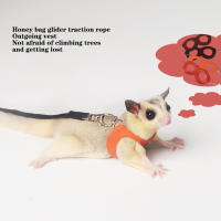 Correa Para Pequeños Mascotas 4Pcs Cuerda Antideslizante Para Hamster Ardilla Anti Mordedura Resistente Al Viento Correa Especial Antipérdida Para Sugar Glider - details 1