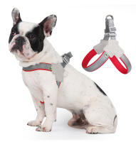 Harnés Veraniego Para Perros Y Gatos Pequeños Y Medianos Con Correa De Pecho Transpirable Sin Pull Para Viajes Y Caminatas Adecuado Para Franceses Bulldog Accesorios Para Mascotas - details 13