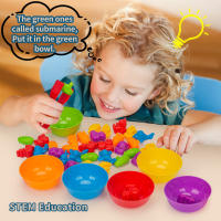 Juguetes De Aprendizaje Para Bebés Cuenta Y Organiza Animales Montessori STEM Regalo Para Niños Actividades De Matemáticas Y Coloración En Preescolar - details 4