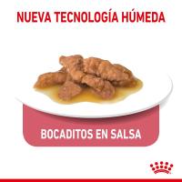 ROYAL CANIN INDOOR IN GRAVY 85G 12X85g - details 2
