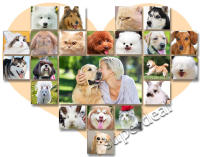 Cortadora de Pelo Profesional para Mascotas, Maquinilla Inalámbrica Recargable para Gatos, Perros y Conejos - details 13