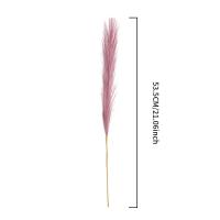 5/10Pcs Bouquet De Pampas Artificiales Flores De Reed Para Decoración De Hogar Jardín Boda Y Fiestas Internas Y Externas - details 7