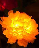 Lámpara De Decoración Solar LED Peonia Impermeable Para Exterior Jardín Patio Escenario De Fiesta Luz De Jardín De Hierba Trasera - details 8