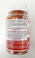 Forte Pharma Forté Jalea Real Inmunidad Gummies 60 Caramelos de Goma | Refuerza el Sistema Inmunitario | Vitamina D - details 1