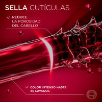 L’ORÉAL PARIS | Rutina Elvive Color Vive Recarga Ecopack de Champú, Mascarilla, Champú, Acondicionador y Aceite Protector Para Pelo Teñido - details 2