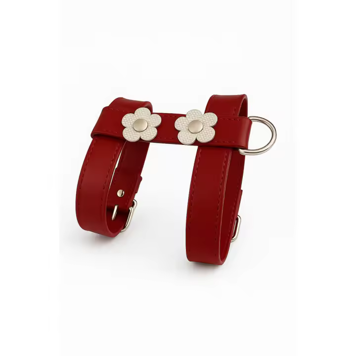 IDEAL PETS ® Arnés de Piel Roja para Perro – Ajustable, Hecho en España - 1