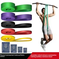 Banda De Resistencia Para Fitness Ayuda En Pull-ups Entrenamiento De Fuerza Y Estiramiento De Yoga Adecuada Para Hombres Y Mujeres - details 0