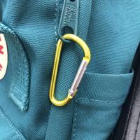 Llavero De Camping Al Aire Libre Con Carabiner Clip De Cierre Anillo D Para Escalada Senderismo Pesca Accesorios De Deportes Unisex - details 2