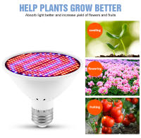 Lámpara LED De Crecimiento Para Plantas Espectro Completo Phytolamp Para Semillas De Flores Cultivo De Plantas En Hydroponics Growbox - details 4