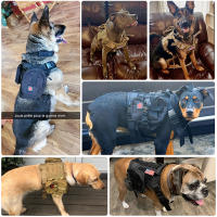 Harnés Táctico Para Perros De Tamaño Pequeño Mediano Grande Con Correa Y Collar De Entrenamiento Militar Para Caminar Y Caza - details 5