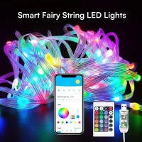 Cadena De Luces LED RGB WS2812B 20m 10m 5m DIY Inteligente IC APP Bluetooth Remote Para Jardín Fiesta Navidad Boda Decoración - details 11
