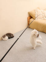 Varita Telescópica Para Gatos Extensible 1.8m Juguete De Pena Resistente Al Rasguño Para Aliviar La Aburrición De Los Gatos - details 4