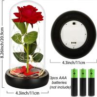 Kit de Rosas de La Bella y la Bestia - Rosa Eterna con Cúpula de Cristal con Luz LED, Regalo Perfecto para Cumpleaños, Aniversarios y Bodas - details 1