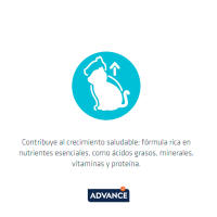 Advance Kitten Comida Húmeda para Gatitos con Pollo, 85gr, Nutrición Optima, Alimento Húmedo para Gatos Cachorros - details 2