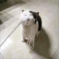 Juguete Interactivo Divertido Para Gatos Kawaii Peluche Con Cola De Borla Y Cinta Telescopio Para Juguete De Gato Para Gatitos Mando a Distancia Juguetes Para Gatos - details 6
