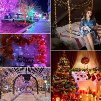 Cadena De Luces LED RGB WS2812B 20m 10m 5m DIY Inteligente IC APP Bluetooth Remote Para Jardín Fiesta Navidad Boda Decoración - details 9