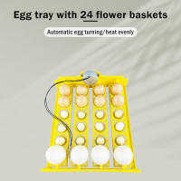 Incubador De Huevos Automático 16/24 Huevos AC220V Herramienta De Incubación Para Pollos Pájaros Y Cochinillos En Granja - details 0