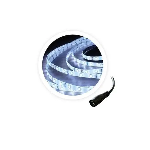 GSC Evolution Rollo 5M Tira LED 6W/M 6000-6500K 24V - 1