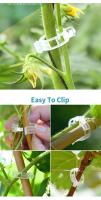 Clip De Planta Reutilizable De Plástico Para Soporte De Tomates Y Enraizamiento De Hiedras En Jardín De Verduras Pack De 50/100/200 - details 3