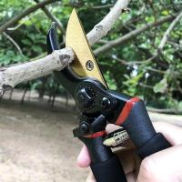Tijeras de jardinería, tijeras de podar de derivación de titanio de primera calidad, podadoras manuales de alta resistencia, podadoras de jardín, herramientas de jardinería - details 1