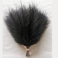 5pcs De Pampas Artificial 42cm Simulación De Pluma Para Bodas Decoración Bohemia Del Hogar Uso En Aniversarios Baños De Natación Cumpleaños Decoración De Casa - details 7