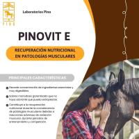 PINOVIT E, recuperación nutricional en patologías musculares de Laboratorios Pino. 18x50gr - details 0