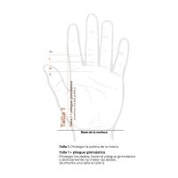 Azor Grips 3h Calleras para Cross Training, Grips con Tejido Sintético, Mayor Protección y Confort, para Gimnasio, Box, Halterofilia, Previenen Ampollas y Desgarros, Unisex PICSIL SPORT - details 0