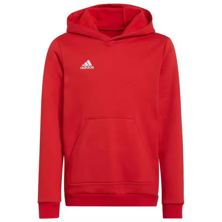 Sudadera Adidas Entre 22  Hoody - 1