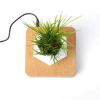 Maceta Flotante Magnética Levitación Para Plantas Sin Tierra Maceta De Rotación Para Decoración Del Hogar Con Diseño De Bonsái - details 6