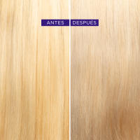 L’ORÉAL PARIS | Elvive Color Vive Champú y mascarilla Violeta Matizador para el pelo con mechas, rubio, decolorado o gris 200ml - details 2