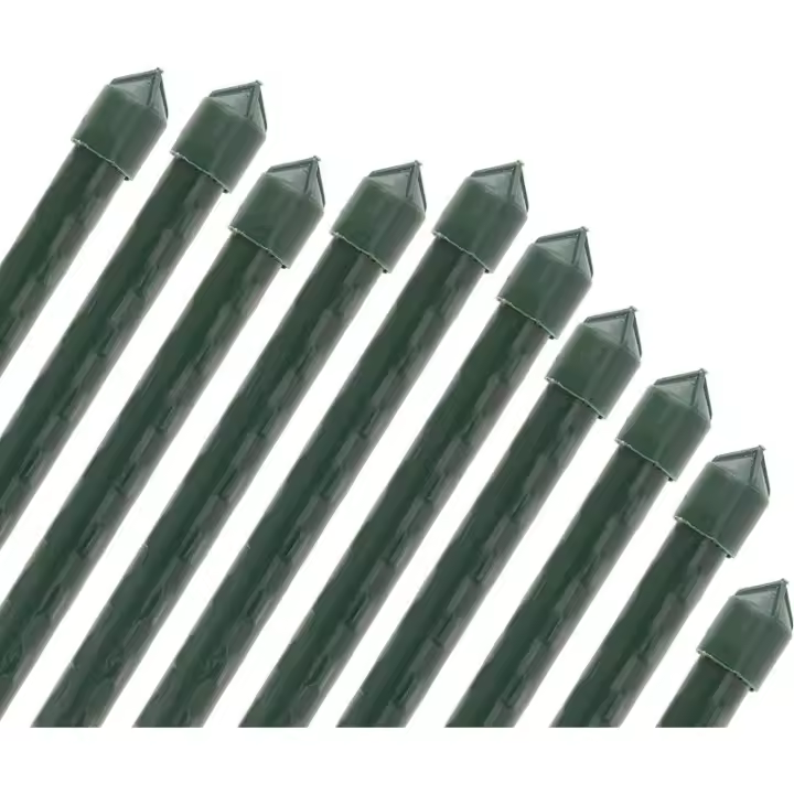 SUINGA Pack 10 Tutor de Bambú plastificado 180 cm (14-16mm), Varillas para Plantas y Árboles, Tutores para Tomates y Plantas trepadoras - 1
