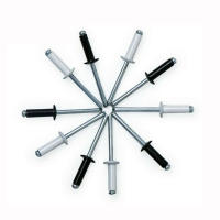 Kit De Remaches De Blinds 160Pcs Tamaños Variados Aleación De Aluminio Acero Nylon Remaches Assortment Kit (Plata/ Negro) Para Metalworking - details 4