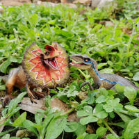 Juguete De Dinosaurio Velociraptor Para Niños Con Mandíbula Móvil Juego Y Colección De Dilophosaurus Realista Para Edades 3-12+ - details 9