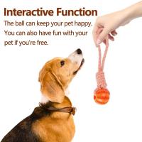 Bola De Juguete Para Perros Con Correa Resistente Masticadora Y Limpieza De Dientes Juguete Interactivo Anti-Boredom Para Muelas - details 12
