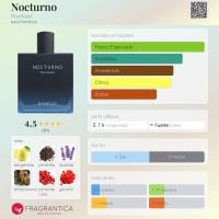 Rayhaan Nocturno 100 ml – perfume árabe aromático-amaderado, bergamota & menta para hombre - details 0