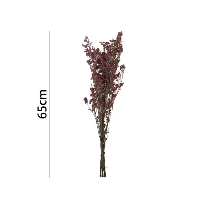 Poenia Arte Floral - Flor Seca Lomonium 65CM - Flores Preservadas - REF 7197 - Durabilidad prolongada - Apariencia natural - Sostenibilidad - Fragancia Natural - 1