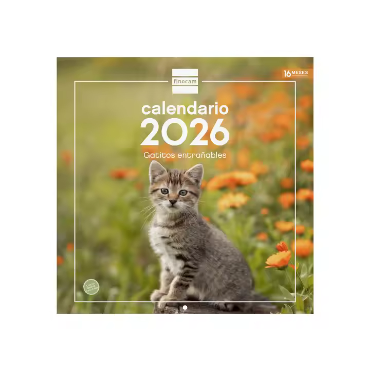 Finocam - Calendario Imágenes de Pared 30x30 para Escribir 2026 Gatitos Enero 2026 - Diciembre 2026 (12 meses) + Sep.-Dic. 2025 (4 meses) reducidos Español - 1