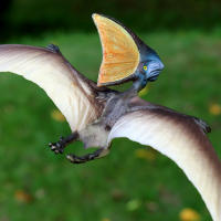 Figuras De Pterodactilo Realistas Pteranodon Juguete De Dinosaurio Volador Modelo Para Pasteles Set De Juguetes Para Niños - details 2