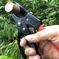 Tijeras De Poda Profesional Para Jardín Con Guardabarros De Mano Herramienta De Reparación De Ramas Gruesas Para Árboles Frutales - details 3