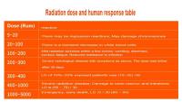 Detector De Radiación Nuclear HFS-10 Sensibilidad Alta Con Alarma Para X Β Γ Rayas Medidor Geiger 0.05uSv-50mSv - details 4