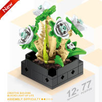Bloques De Construcción DIY MOC Plantas Succulentas Cactus Gypsophila Bonsái Jardín Modelo Romántico Para Niños Kit De Juguetes - details 16