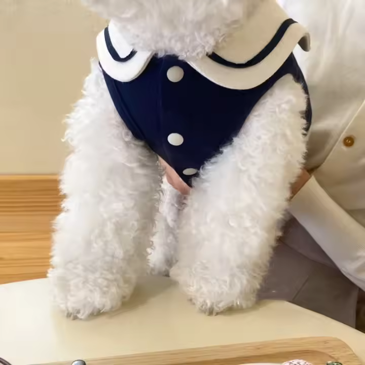 Camiseta De Patoleta Para Perros Pequeños Y Medianos Con Rayas Diseño Lindo Ropa De Mascota Suéter De Algodón Para Todas Las Estaciones - 1